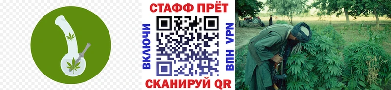 Купить закладку Волхов ГАШ  Cocaine  МЕФ  Марихуана 
