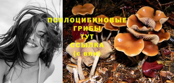 PSILOCYBIN Алексеевка