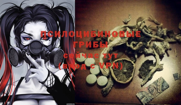 PSILOCYBIN Алексеевка