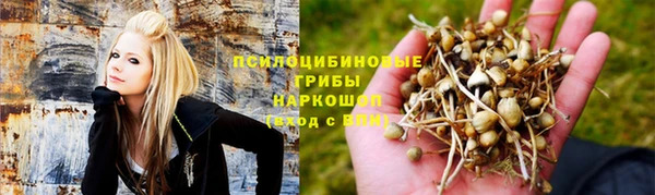 Альфа ПВП Алексин