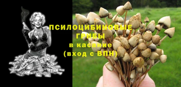 Альфа ПВП Алексин