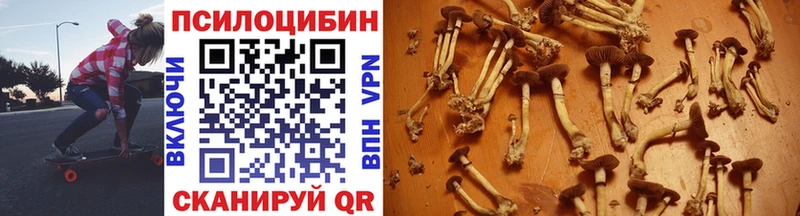 Галлюциногенные грибы мицелий Волхов