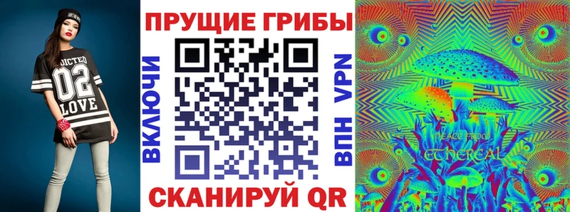 ссылка на мегу ONION  Волхов  Псилоцибиновые грибы Psilocybine cubensis 
